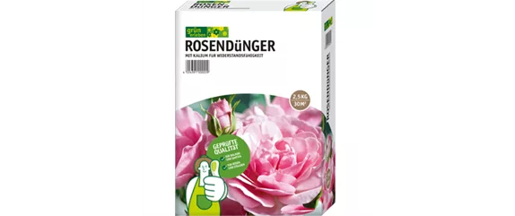 ROSEN FüR DIE LIEBSTE