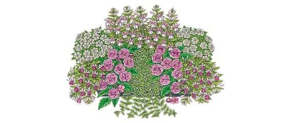 ROSA-PINKE PFLANZIDEEN