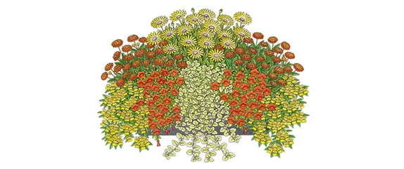 GELB-ORANGE PFLANZIDEEN