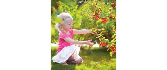 OBSTGARTEN FÜR KINDER