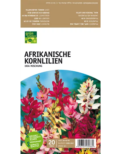 Afrikanische Kornlilie