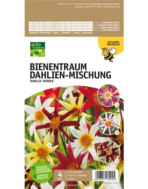 Bienentraum Dahlien-Mischung