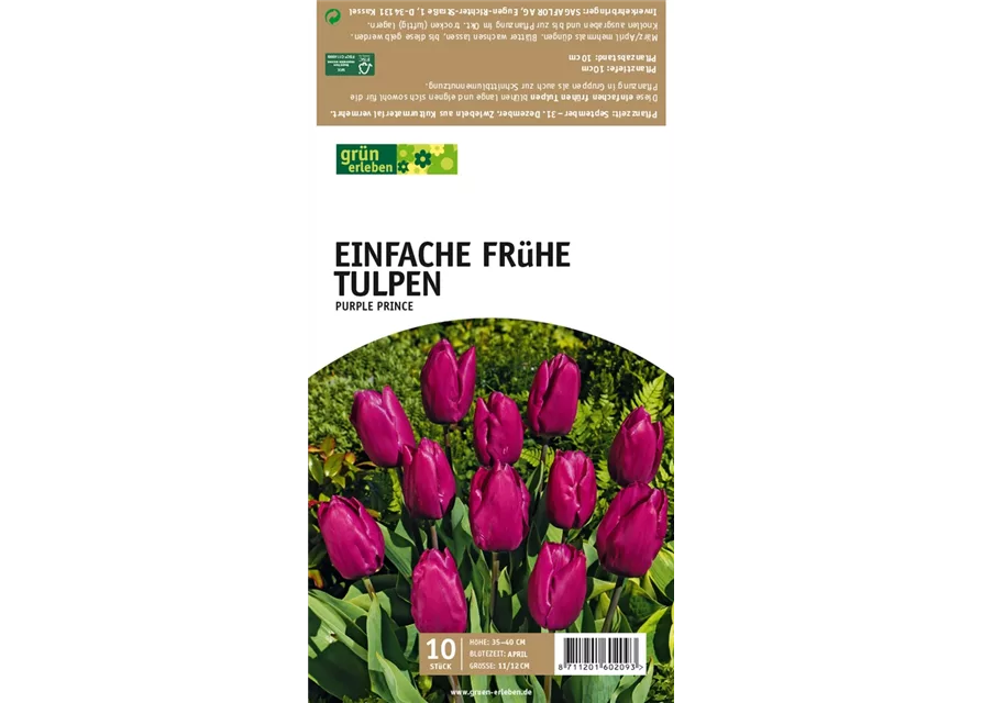 Einfache frühe Tulpen