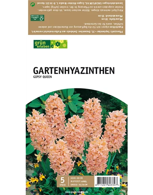 Gartenhyazinthen