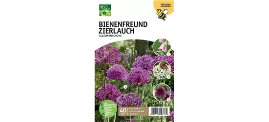 Allium Mischung