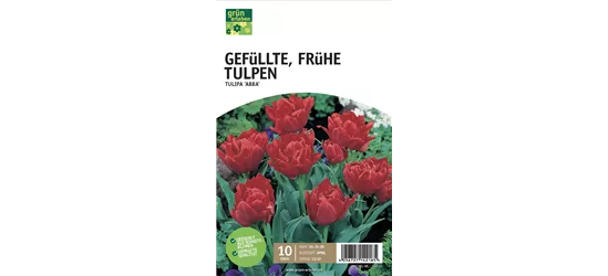 Gefüllte frühe Tulpen 