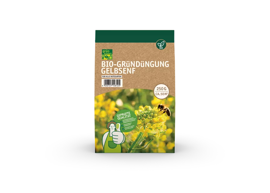 Bio-Gründüngung