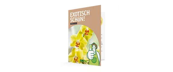 WIE GEHT...ORCHIDEEN UMTOPFEN?