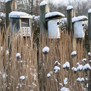 WEIHNACHTLICHE STIMMUNG IM GARTEN